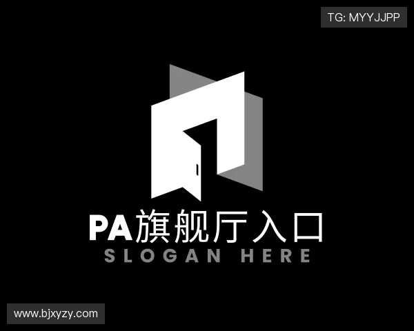 认识PA视讯